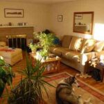 decoracion con flores y plantas2