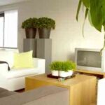 decoracion con flores y plantas3