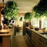 decoracion-con-flores-y-plantas4-1