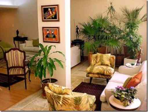 Salones y Despachos 4