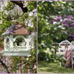 jardin-decorado-491×340-1