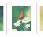 cuadros-ikea-300×130-1