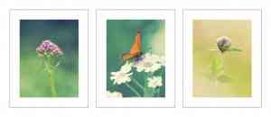 Complementos Ikea Primavera 2012 4