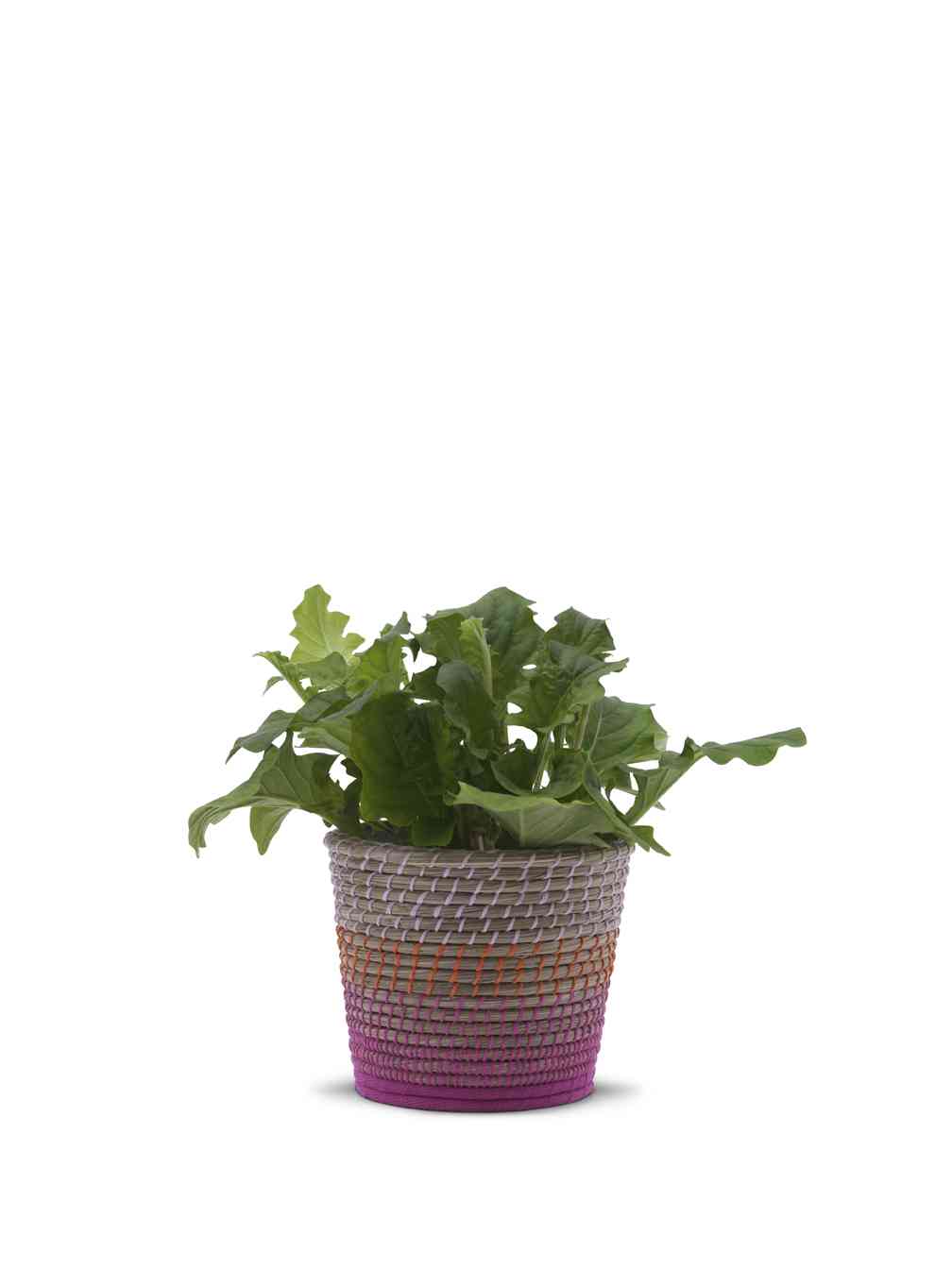 Complementos Ikea Primavera 2012 2