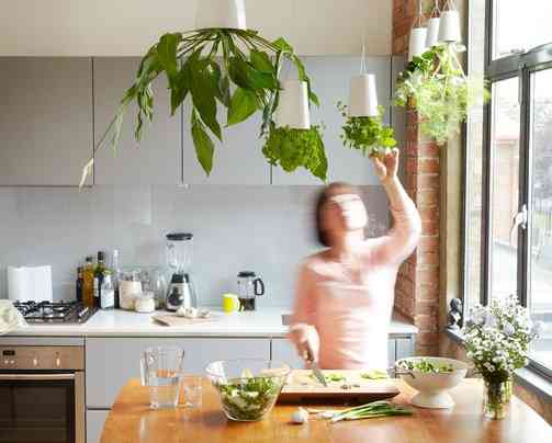 Sky Planter: Las plantas que crecen boca abajo 1