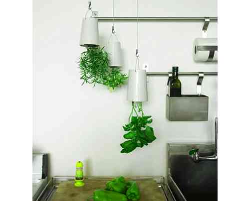 Sky Planter: Las plantas que crecen boca abajo 4