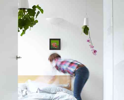 Sky Planter: Las plantas que crecen boca abajo 5