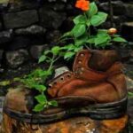 plant-in-an-old-boot-284×300-1