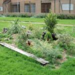 Diseño rocallas jardines Viveros Ferca