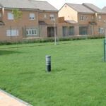 Plantación césped y zonas verdes Viveros Ferca