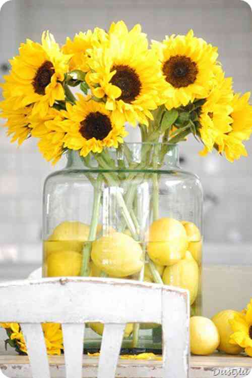 Girasoles y limones para decorar 1 girasoles