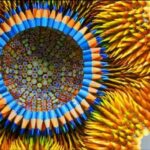 lapices-519×340-1