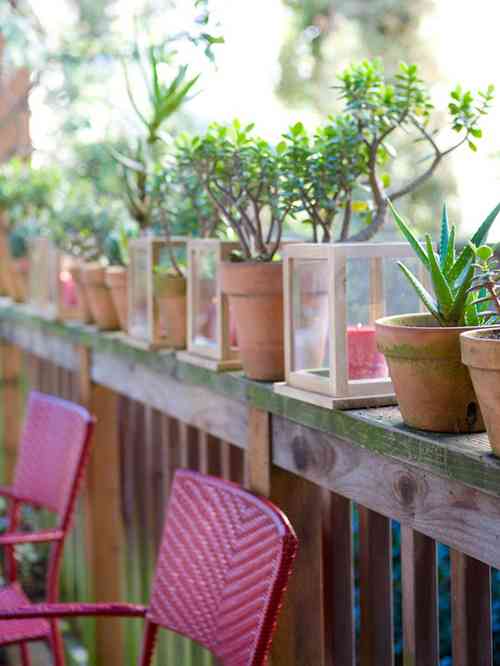 Velas y macetas para decorar una valla 1 plantas y velas