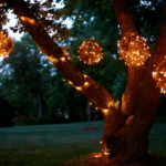luces