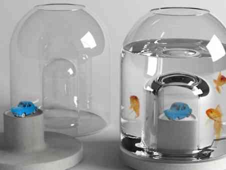 La Pecera Wanda 1 La Pecera Wanda 1