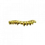 tirador3-340×340-1