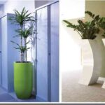 plantas.jpg