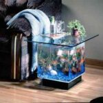 acuario-1