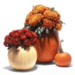 halloween-decoracion-1