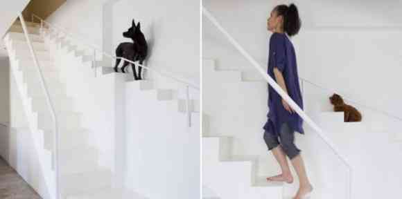 Escalera para perros 1 Escalera para perros 1