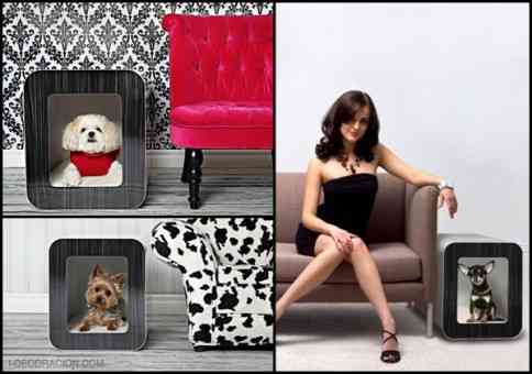 Caseta para perros de interior 1 caseta2.jpg