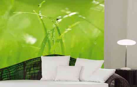 Decora con murales fotográficos 3 mural2.jpg