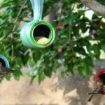 pajareras-recicladas-1