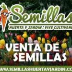 logosemillashuertayjardin