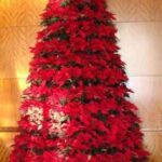 arbol-navideno-de-pascuas