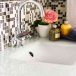 e3c59b6a9dd2272853fb25ca94d6e186