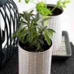 eec084c001526454c994cdec2b6849cc