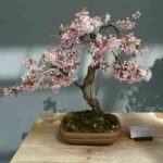 tumblr_mzlmjhE4Nr1r47ra2o1_500