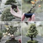 tumblr_n11gxul0Ut1rvgmw3o1_500