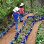 decorar el jardin con botellas recicladas