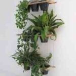 jardin-vertical-220×340-1