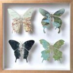 mariposas-de-mapas-1