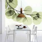 pic2-beyond-light-eucalyptus