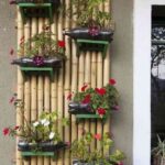 un jardin vertical de bambú