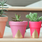 Crear tus maceteros de colores originales