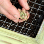 cómo hacer marco floral1