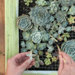 cómo hacer marco floral2