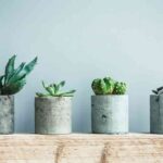 ideas para decorar macetas