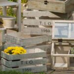 cajas de fruta originales