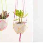 plantas-colgadas-1-400×192-1