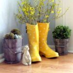botas
