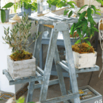 escalera-de-plantas