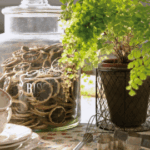 olores-270×360