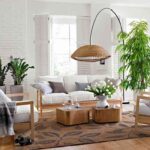 plantas-de-interior-1