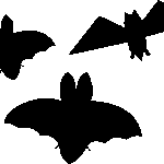 murcielagos halloween