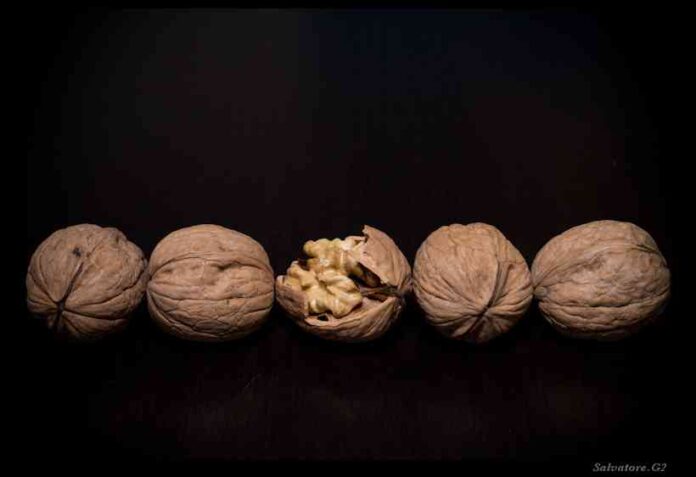 decorar con  nueces decorar con nueces